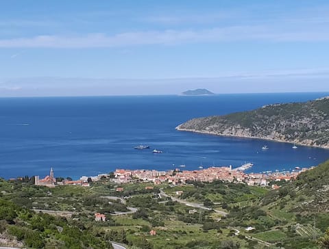 Property building, Bird's eye view