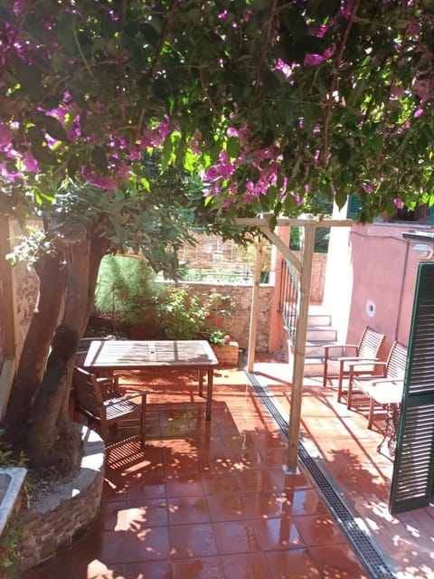Garden, Garden