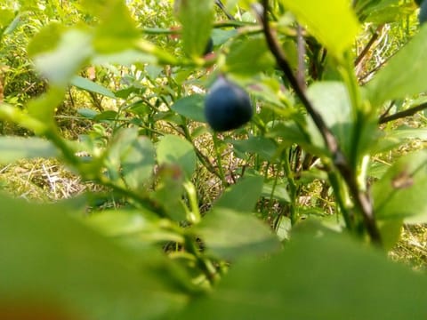 Natural landscape, Hiking