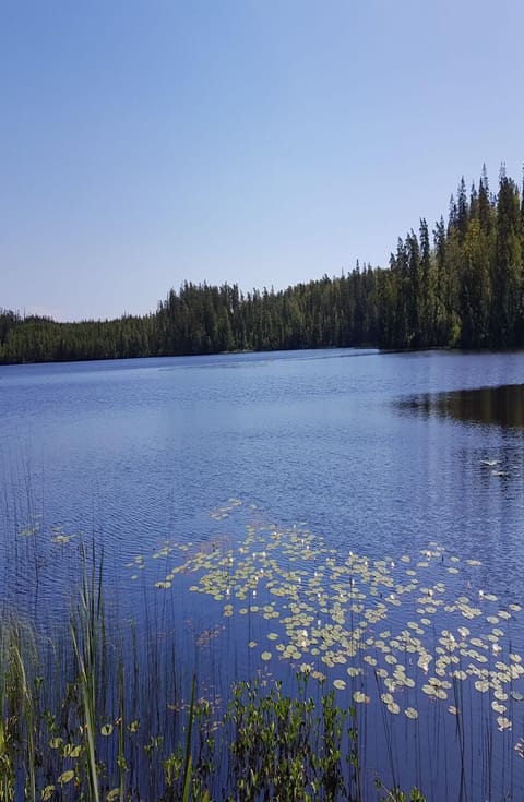 Day, Natural landscape, Beach, Lake view
