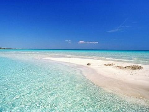 Natural landscape, Beach