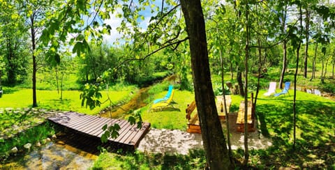 Garden, Garden view, Inner courtyard view