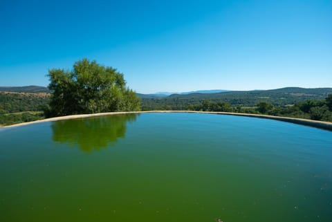 Natural landscape, Mountain view, Swimming pool