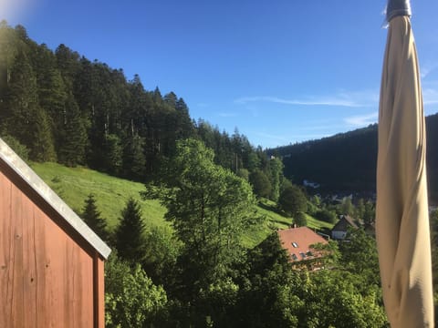 Balcony/Terrace, On site, Garden view