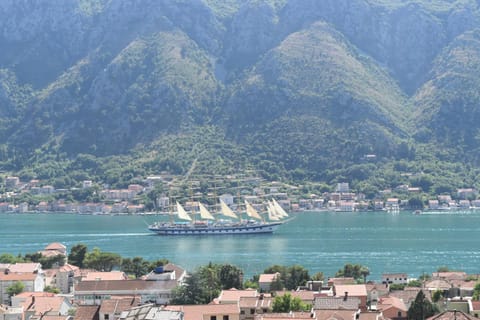 Apartments Sea View Apartment in Dobrota