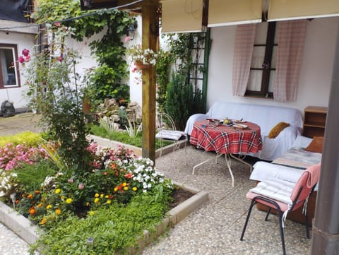 Patio, Garden