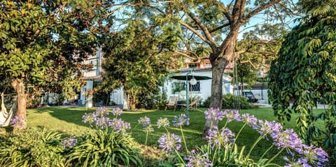 Property building, Garden, Garden view