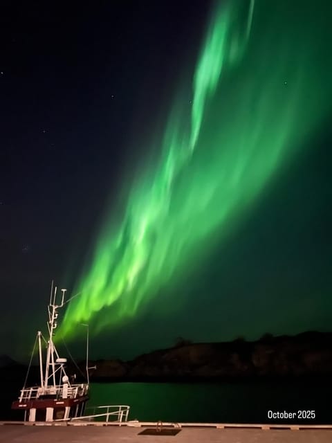Lofoten Sea Lodge Apartment in Lofoten