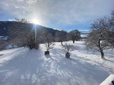 Natural landscape, Winter