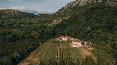 Apartment Majstorina House in Podgorica Municipality, Montenegro