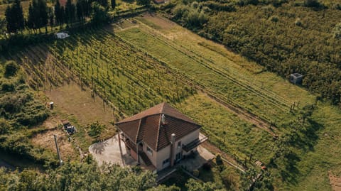 Apartment Majstorina House in Podgorica Municipality, Montenegro