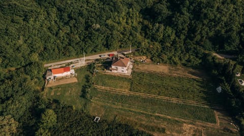 Apartment Majstorina House in Podgorica Municipality, Montenegro