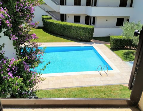 Garden, Pool view, Swimming pool