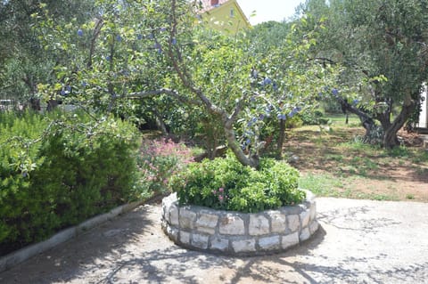 Vjera Apartment in Murter