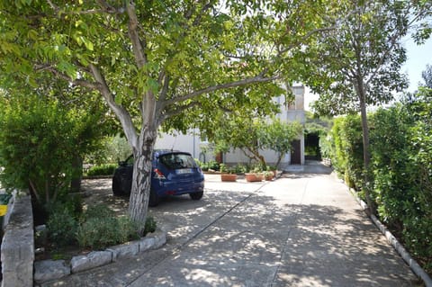 Vjera Apartment in Murter