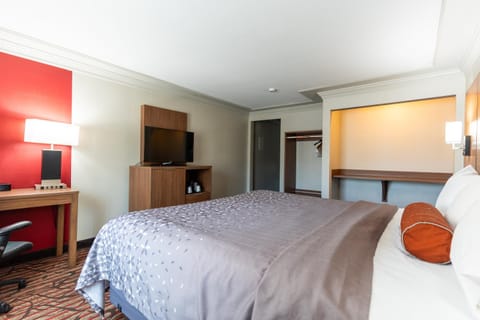 TV and multimedia, Photo of the whole room, Bedroom