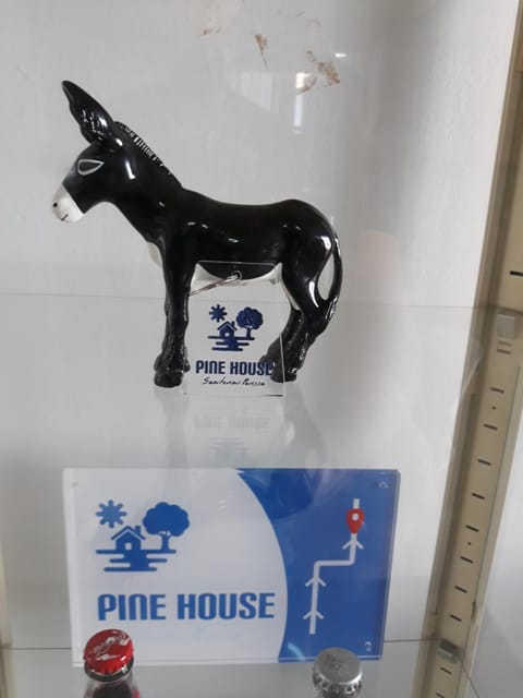 PINE HOUSE SANTORINI PERISSA 150 METERS FROM SEA. Villa in Perissa