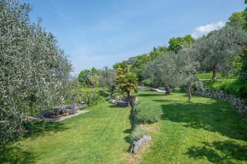 Natural landscape, Garden, Garden view