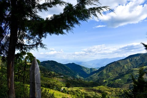 Property building, Natural landscape, Mountain view