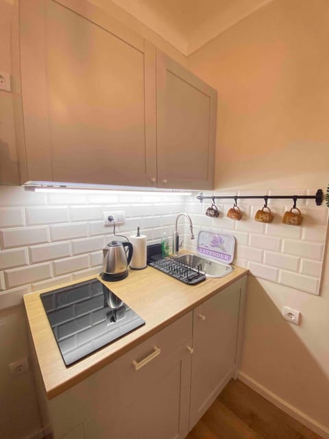 Kitchen or kitchenette, minibar, stove, toaster