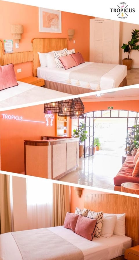 Living room, Lobby or reception