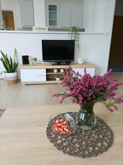 Dina apartman Jablaničko jezero Apartment in Federation of Bosnia and Herzegovina