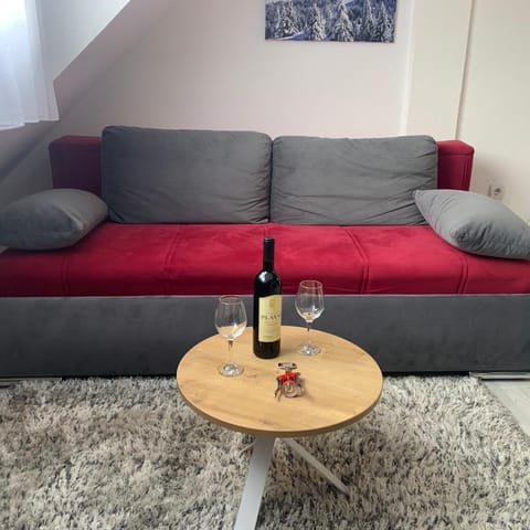 Uni Kop Apartment in Serbia