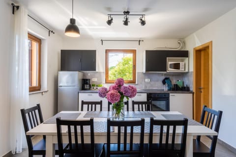 Kitchen or kitchenette, Dining area, stove