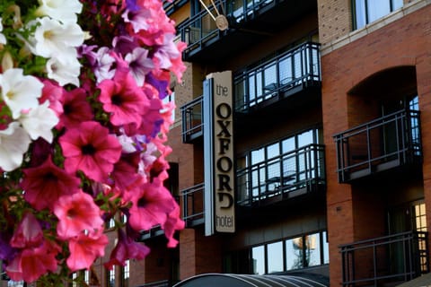 Facade/entrance, Spring, Day, Summer