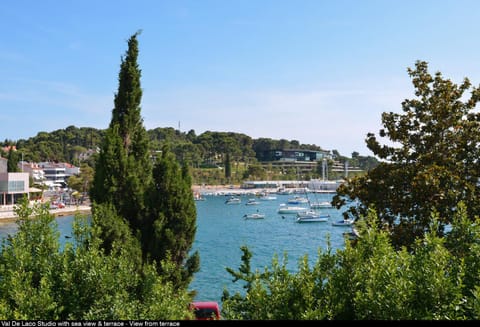 Balcony/Terrace, Sea view