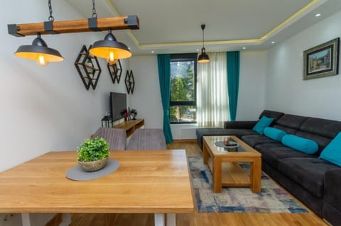 Nirvana 01 Apartment in Zlatibor