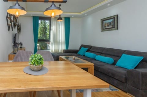 Nirvana 01 Apartment in Zlatibor