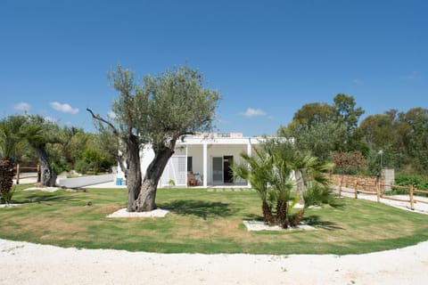 Property building, Garden view