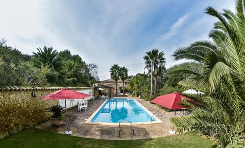 Natural landscape, Garden, Garden view, Pool view, Swimming pool, sunbed