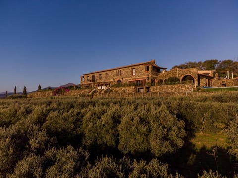 Casa Mori House Bed and Breakfast in Stellenbosch