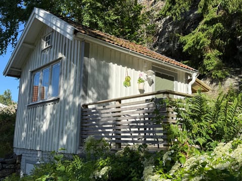Property building, Patio, Garden view, internet