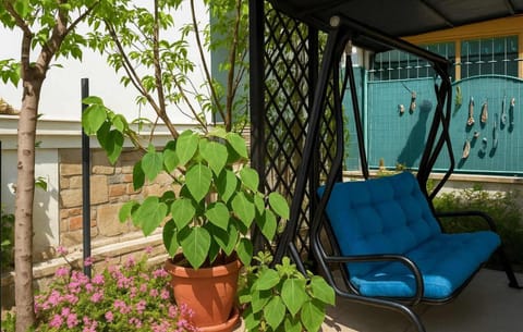 Patio, Garden, Garden view
