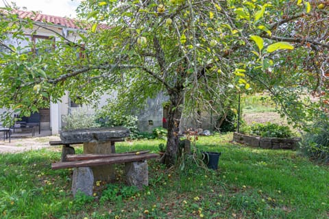 Location, children, Family