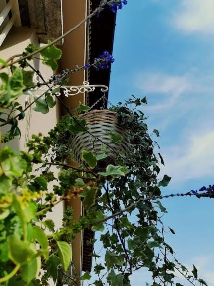 Il Cortile Apartment in Province of Brescia