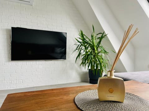 TV and multimedia