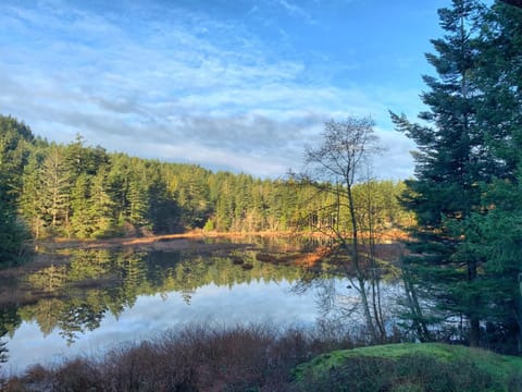 Natural landscape, Lake view