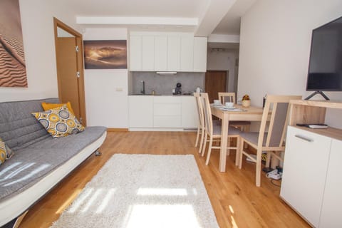 Vytauto 801 Apartment in Palanga