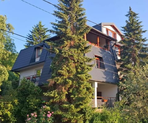 Guesthouse Hill Vacation rental in Sarajevo