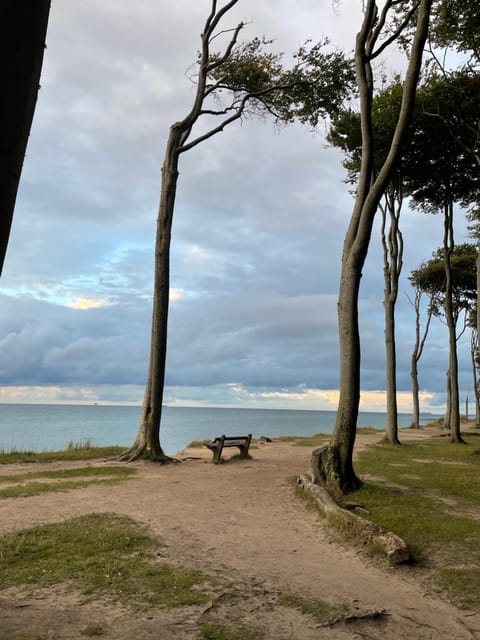 Natural landscape, Beach, Sea view