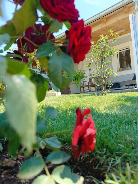 Schatzi 1 Apartment in Šibenik-Knin County, Croatia