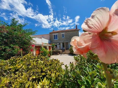 Property building, Patio, Garden