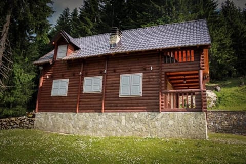 Triangle Woodhouse Nature lodge in Montenegro