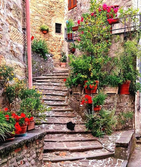 Property building, View (from property/room)