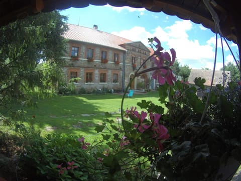 Spring, Day, Natural landscape, Garden, Garden view