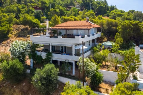 Property building, Bird's eye view, Garden